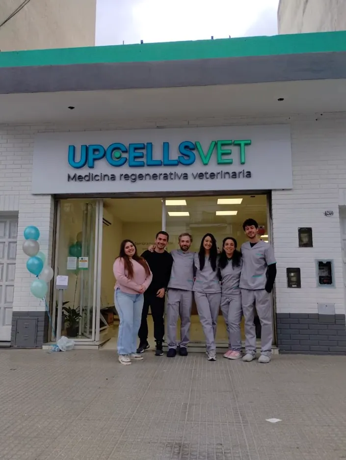UpCells Vet – Medicina Regenerativa Veterinaria