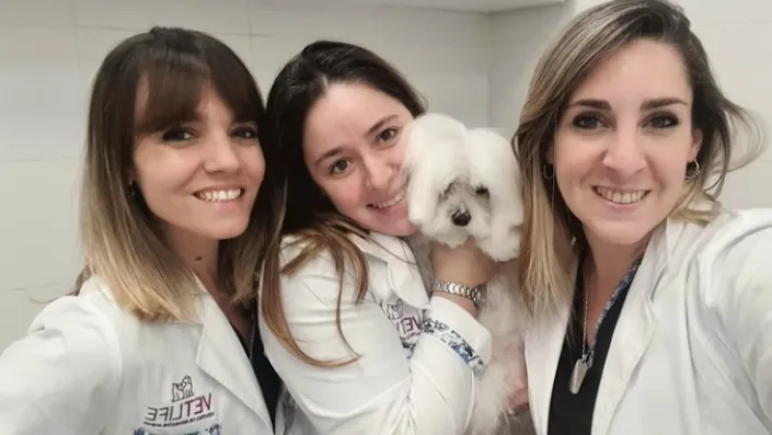 Vet Life