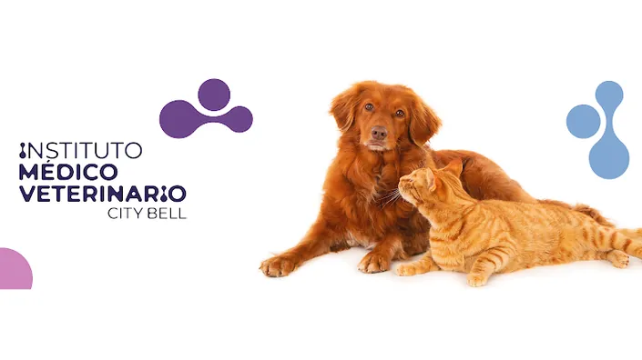 Veterinaria 24hs – IMV City Bell