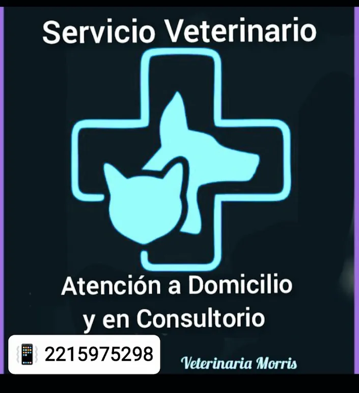 VETERINARIA A DOMICILIO LA PLATA Y ALREDEDORES . CONSULTORIO MORRIS VET