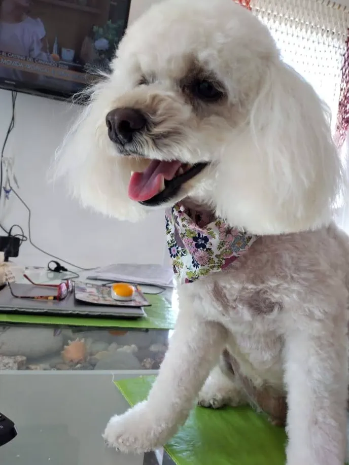 Veterinaria Alem – Temperley
