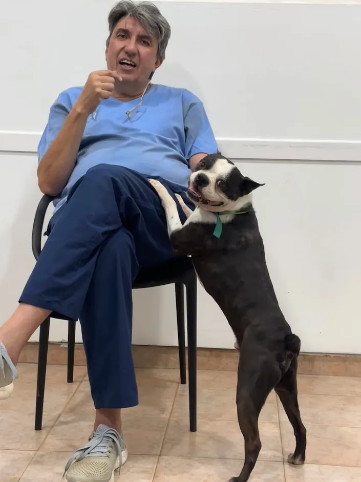 Veterinaria Alfa