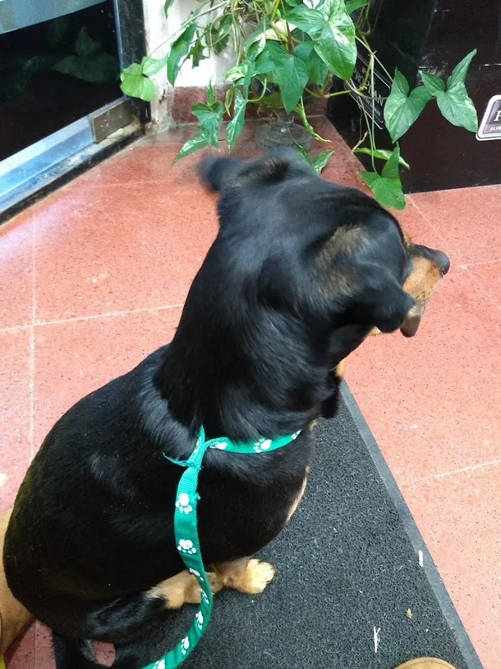 Veterinaria Arcos