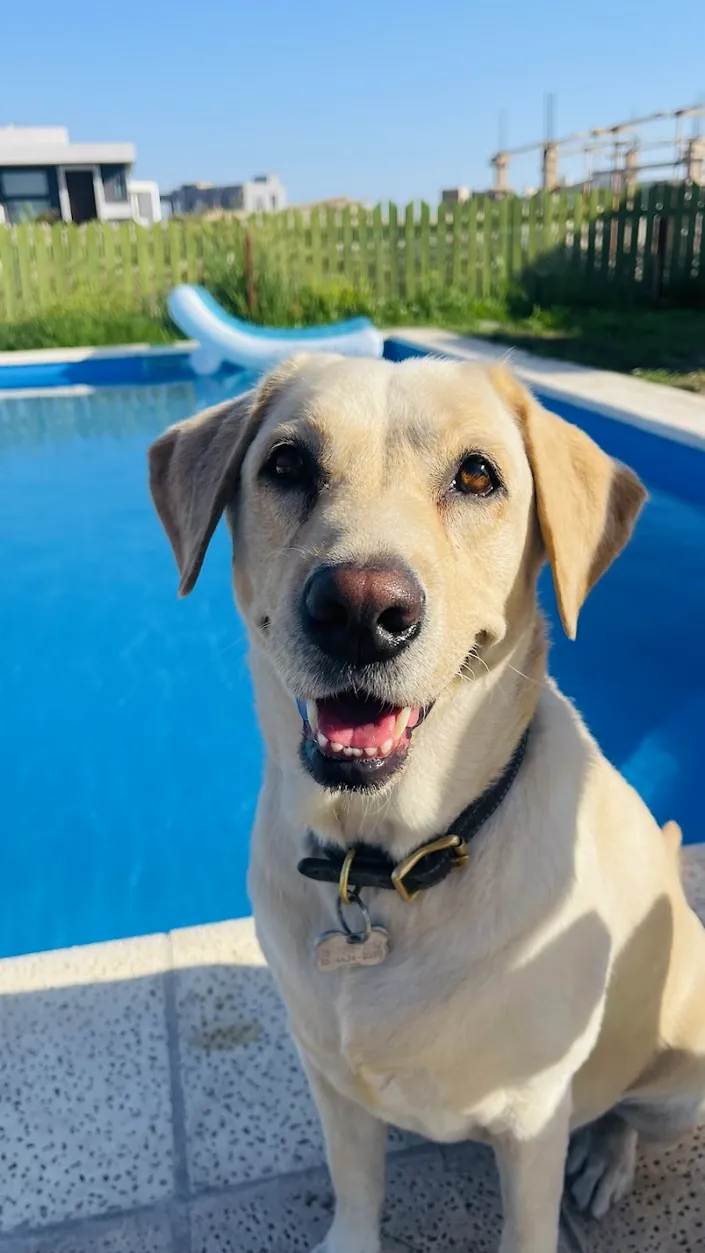 Veterinaria Argos