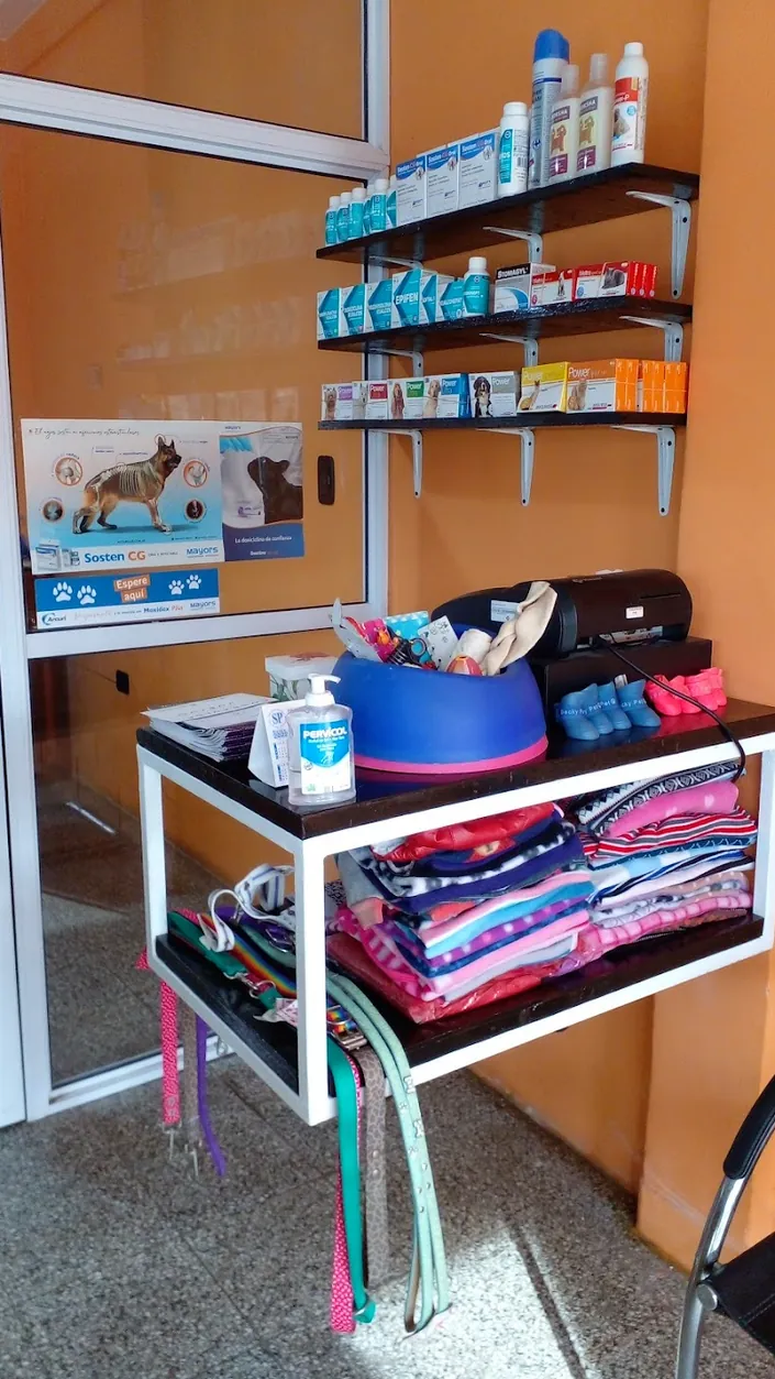 Veterinaria Ávila