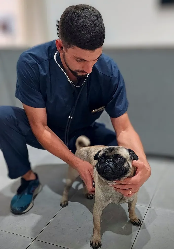 Veterinaria Barberini – Servicio de Veterinaria a Domicilio