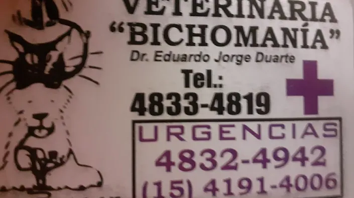 veterinaria bichomania