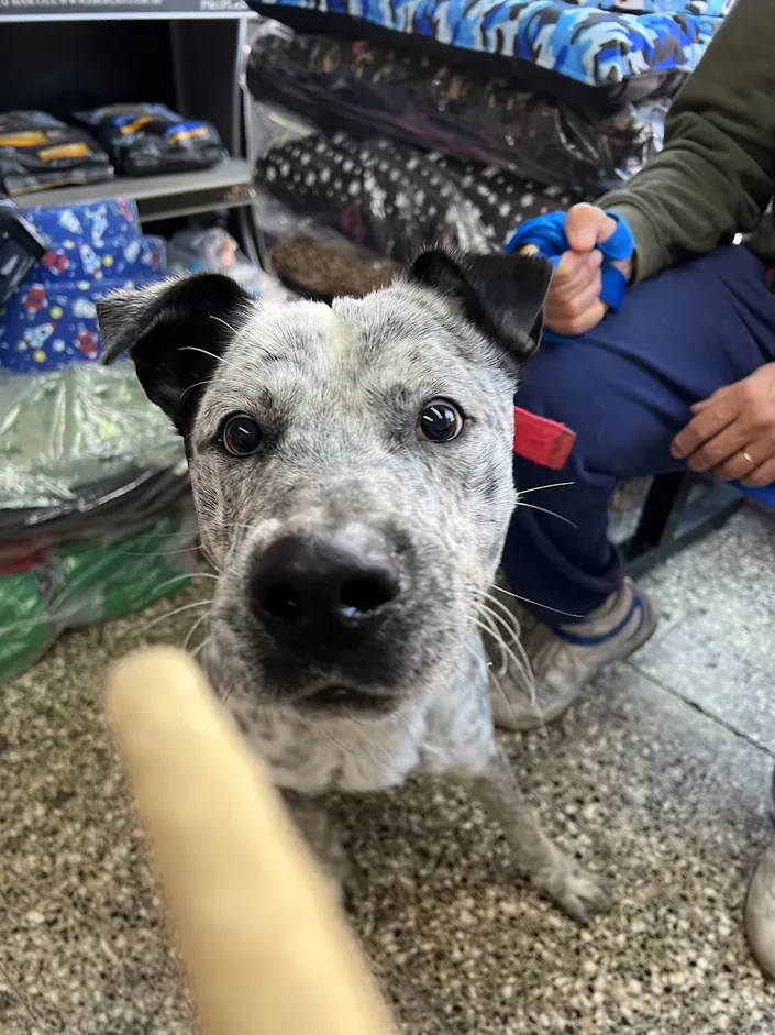 Veterinaria + Co.Ta.