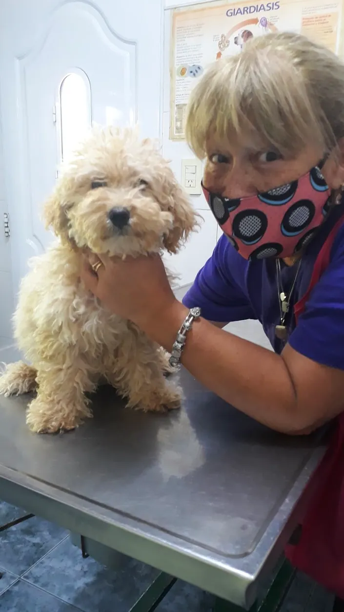 Veterinaria Colombo