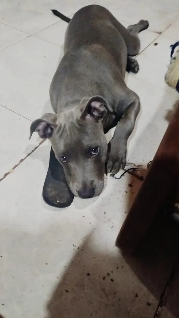 Veterinaria de Barrio San Juan