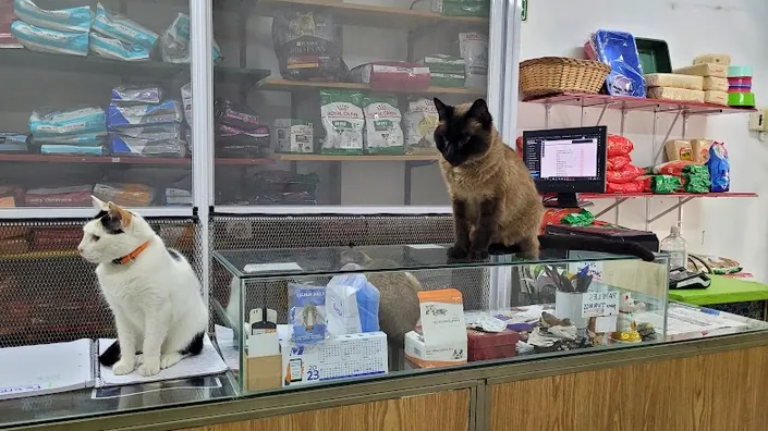 Veterinaria del Centro, Recoleta