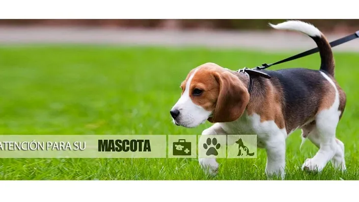 Veterinaria Don Bosco 24 Hs