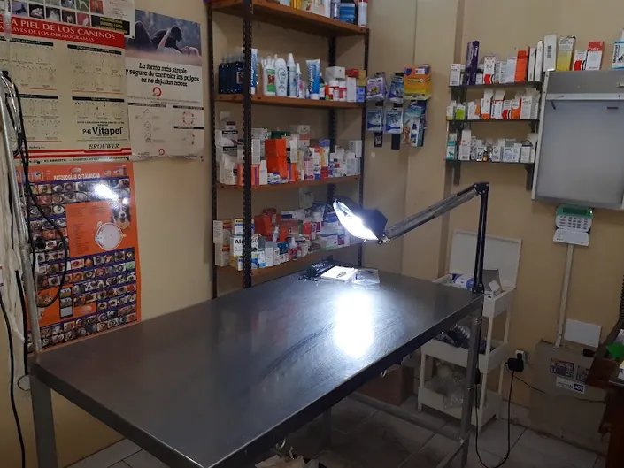 VETERINARIA “Dr. FLORES”