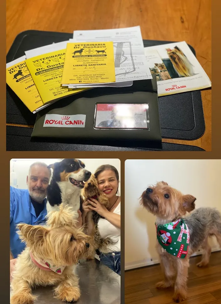 Veterinaria Dr. Gustavo