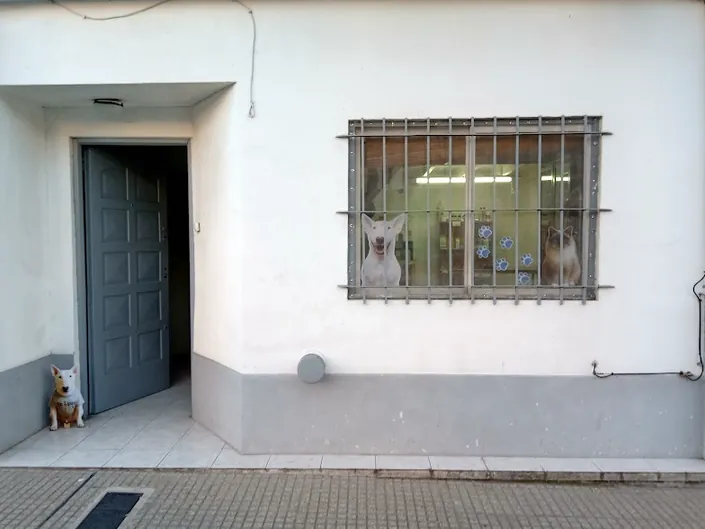 Veterinaria Dr Lipari