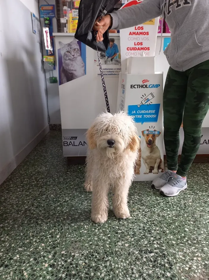 Veterinaria Dra. Bárbara González