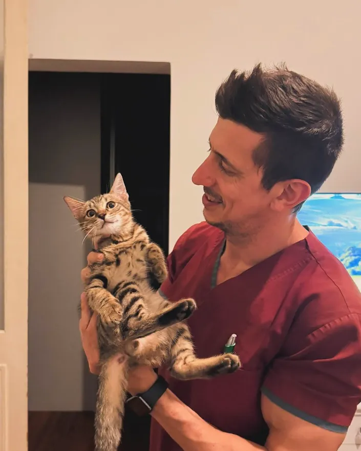 Veterinaria en casa
