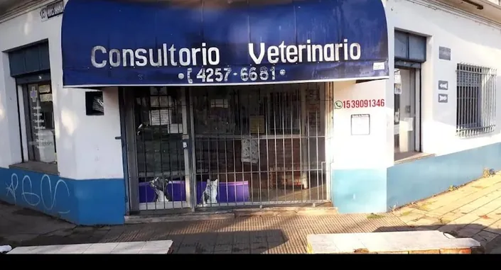 Veterinaria Entre Perros Y Gatos