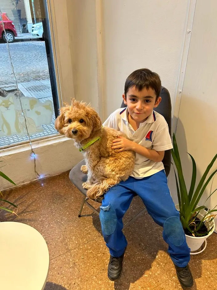 Veterinaria Gustavo Herrera