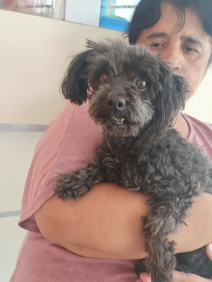 Veterinaria Huangue