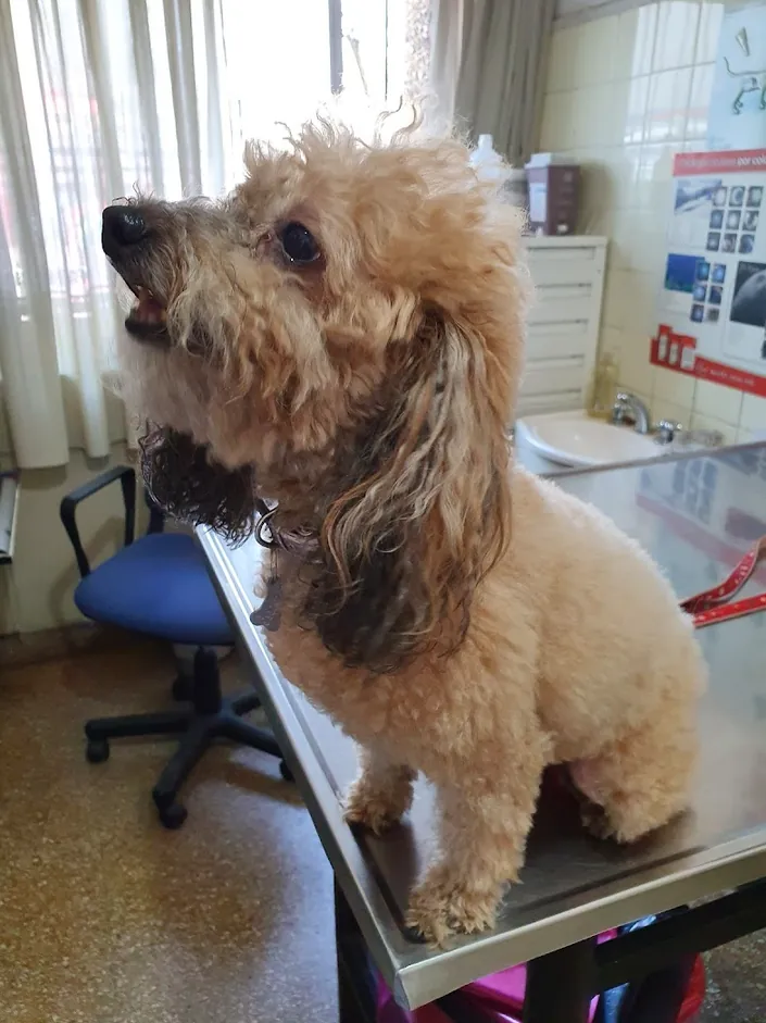 Veterinaria Integral Colombres
