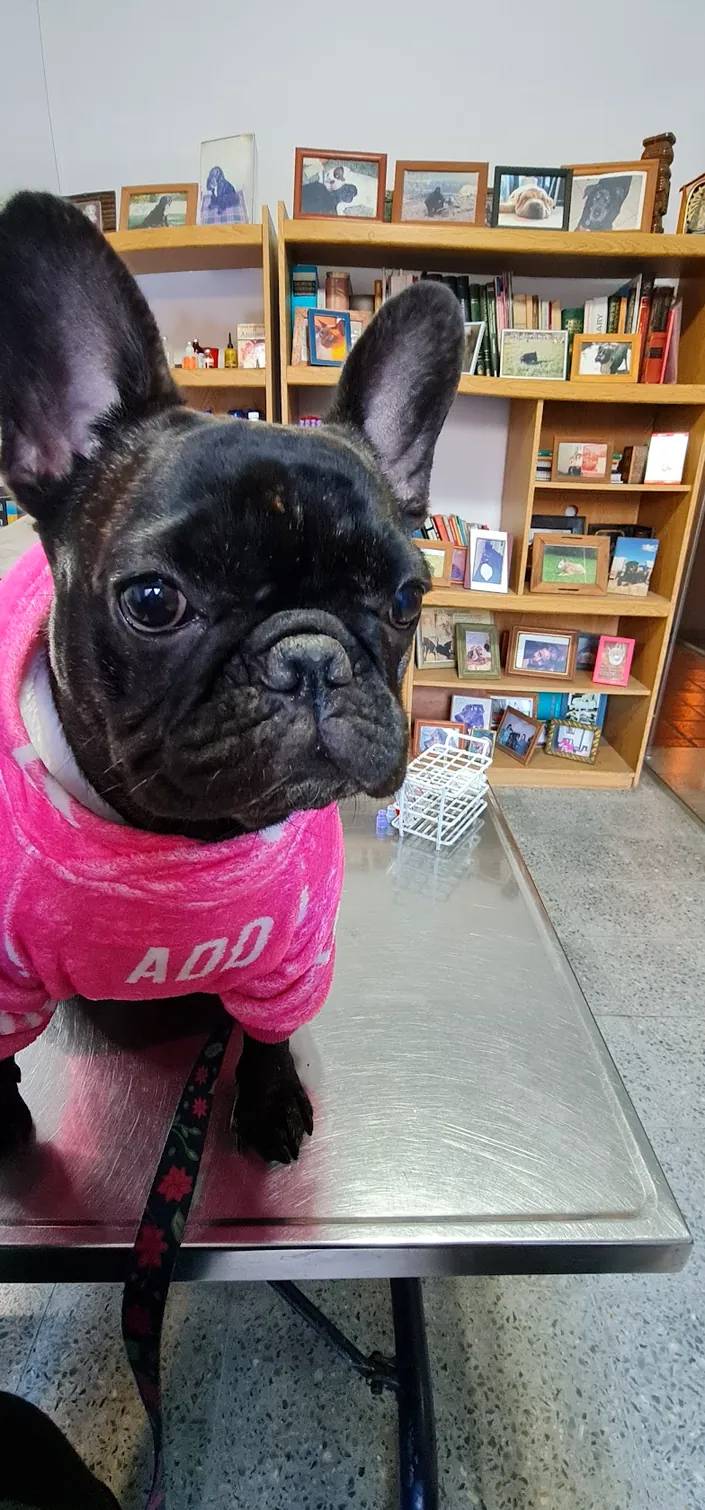 Veterinaria Lococo