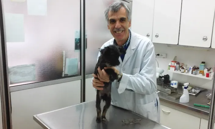 Veterinaria Lola