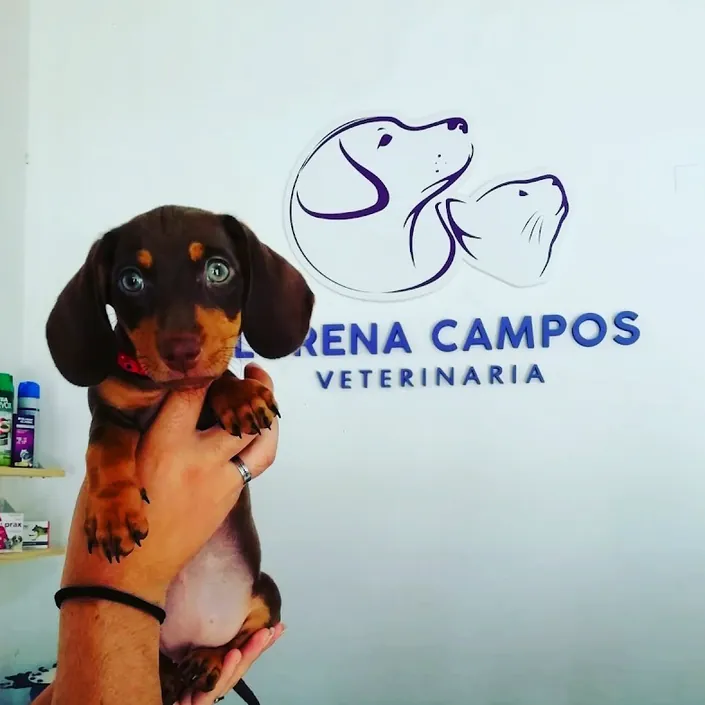 VETERINARIA LORENA CAMPOS