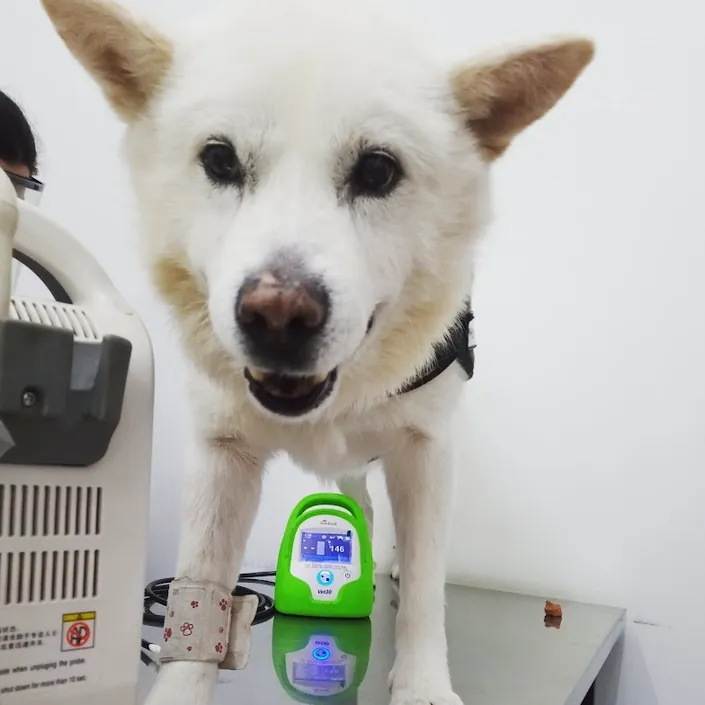 Veterinaria Marie Curie