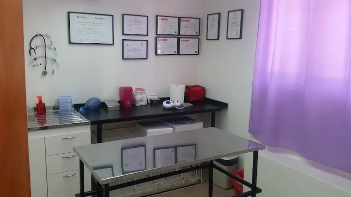 Veterinaria MDVet