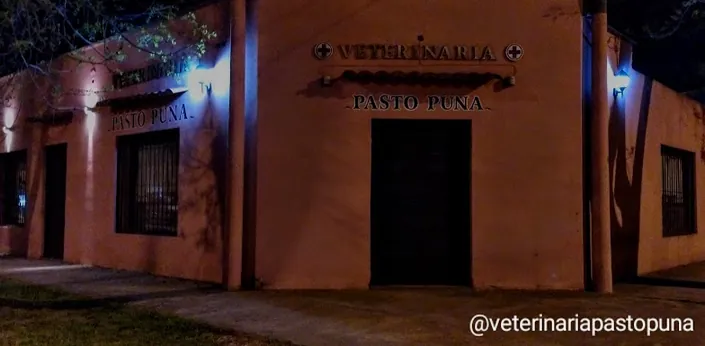 Veterinaria Pasto Puna