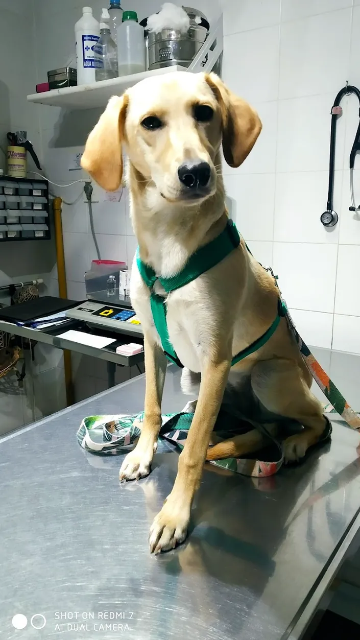 Veterinaria Plaza
