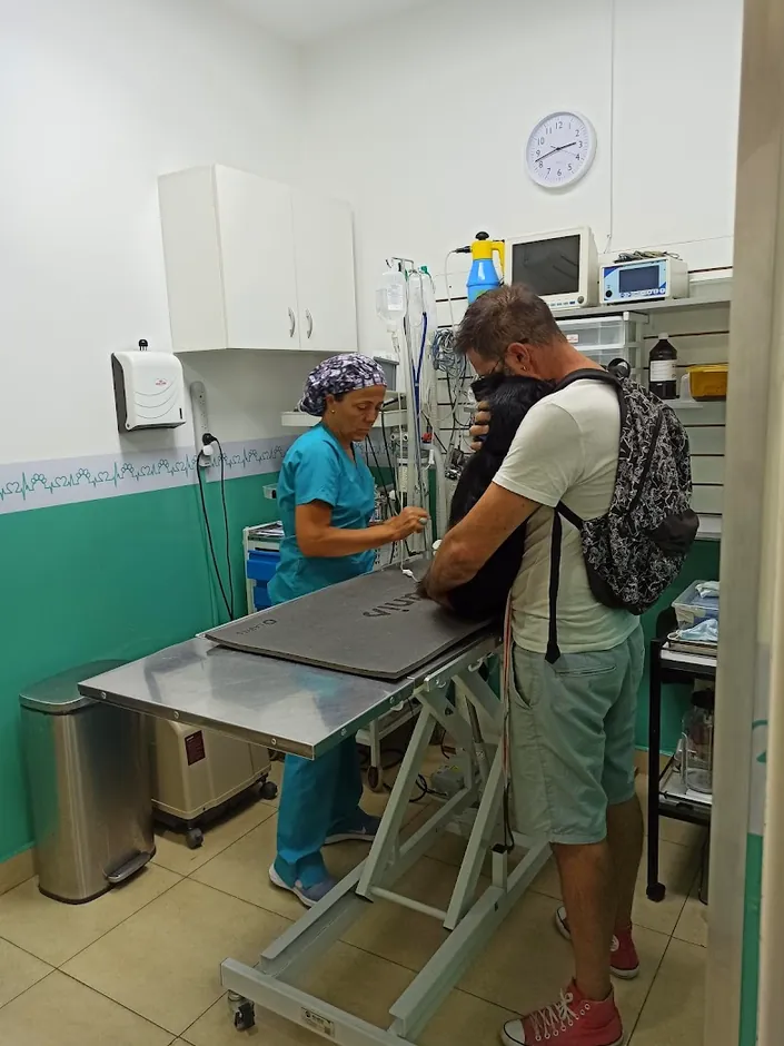 VETERINARIA POR MAS VIDA
