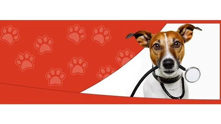 Veterinaria Puppys