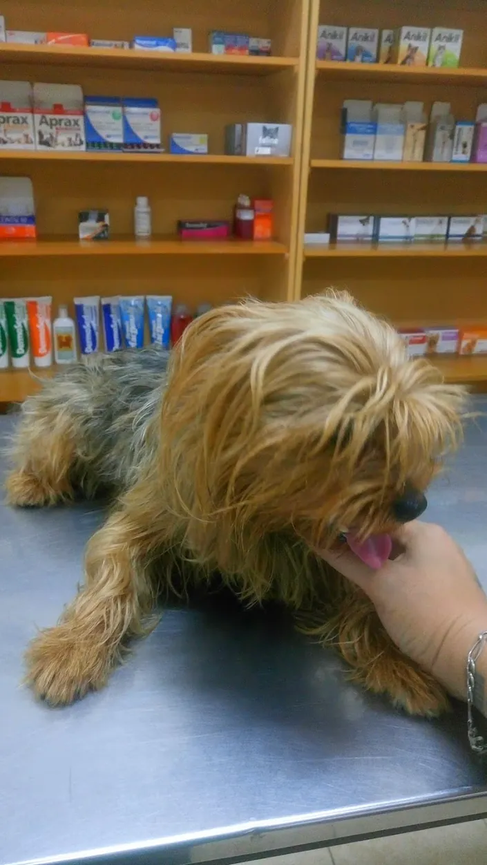 Veterinaria Ramos Mejia