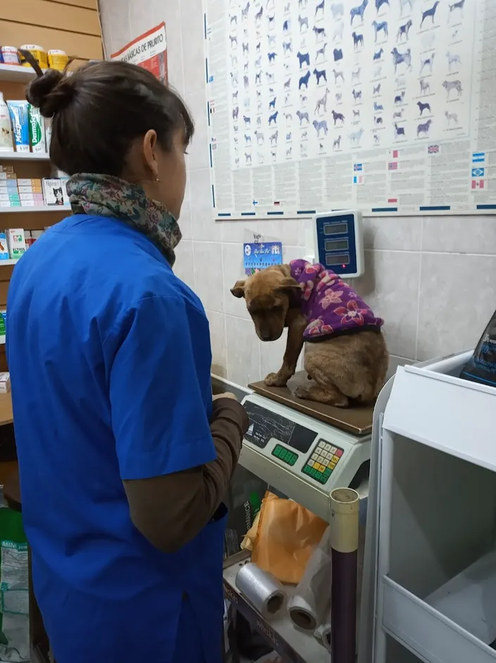 Veterinaria San José Dr. Mario Da Fonseca.