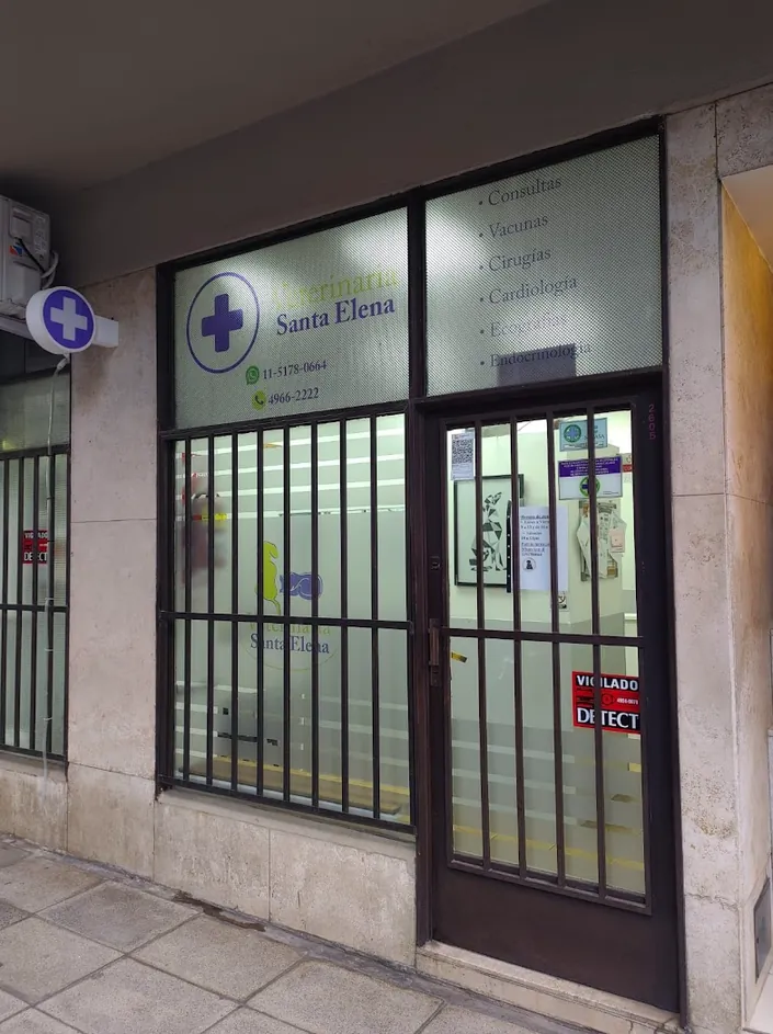 Veterinaria Santa Elena, Palermo