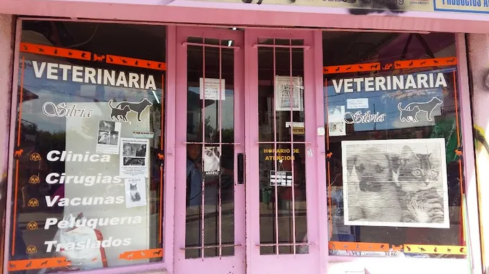 Veterinaria Silvia