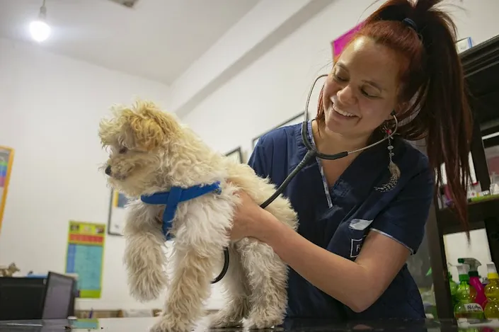 Veterinaria y Pet Shop “Los Canarios de Balvanera” – Asociación Argentina de Canaricultura Roller