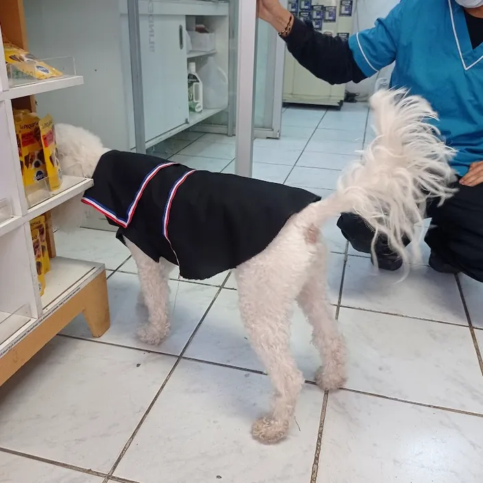 Veterinaria zapadores