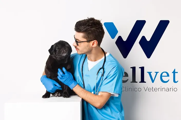 WellVet