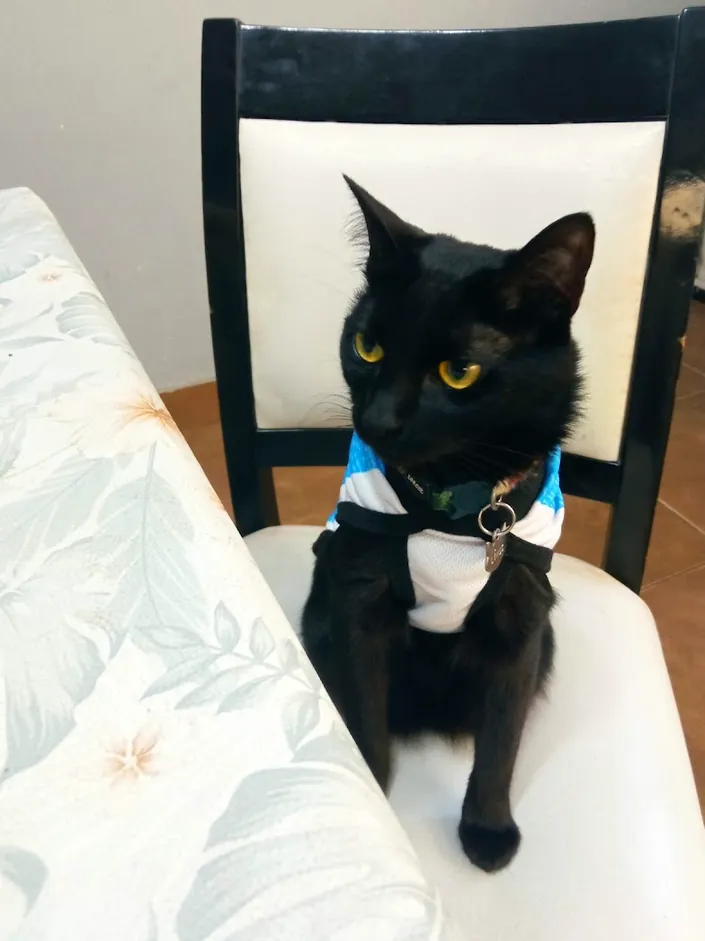 Zoopet